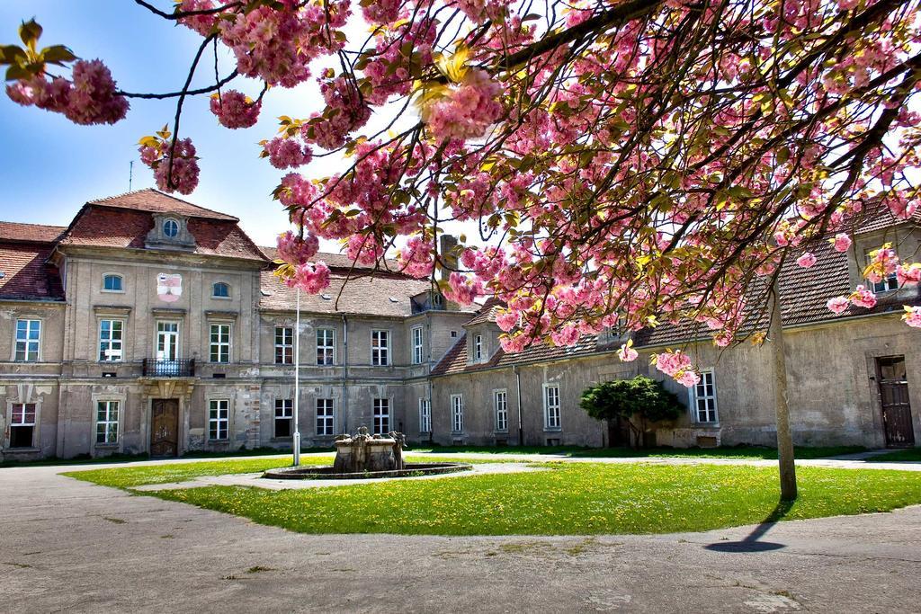 Gaestehaus Schloss Plaue Brandenburg  Esterno foto